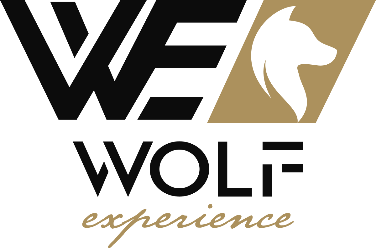 wolf experience color