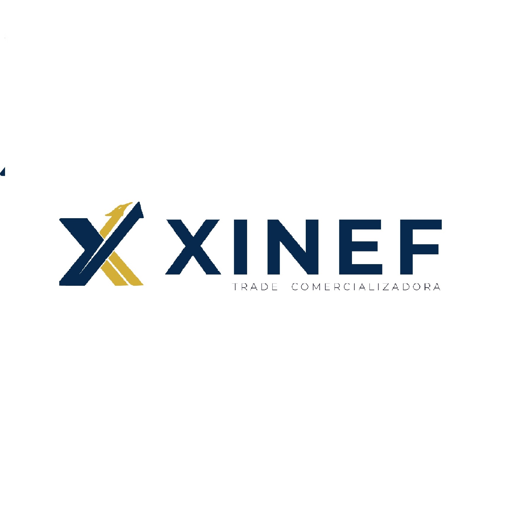 XF500