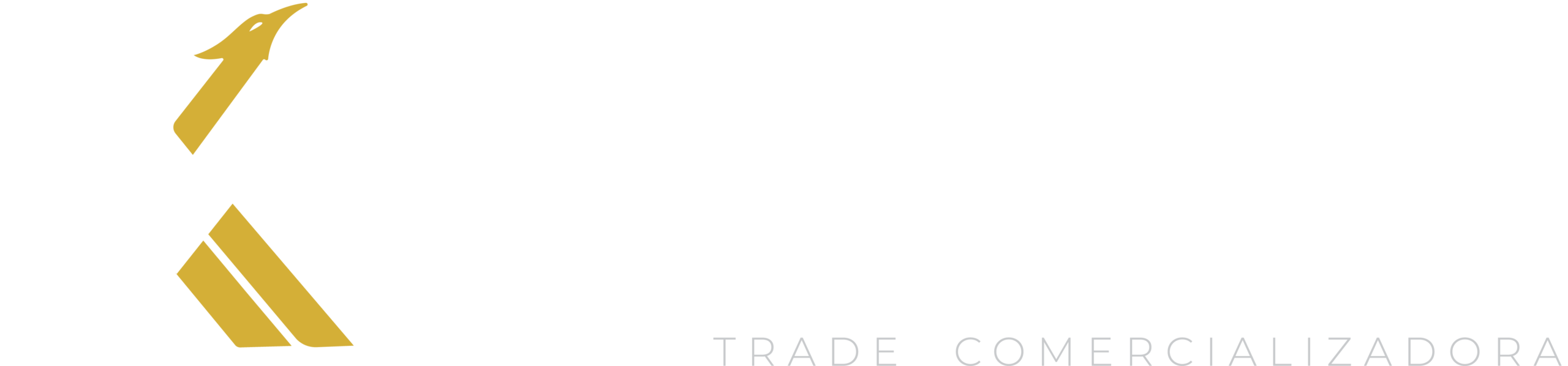 logo-xinefBCO-1080
